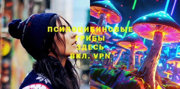 хмурый Вязьма