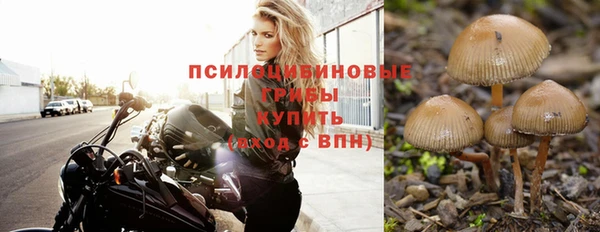 ешки Волоколамск