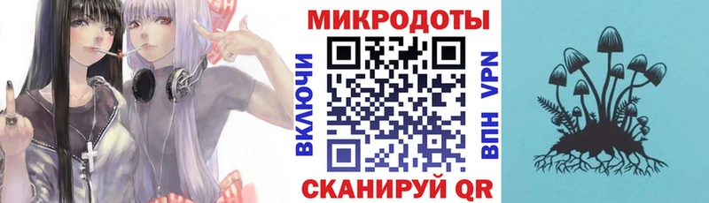 Галлюциногенные грибы MAGIC MUSHROOMS  цены наркотик  Звенигово 