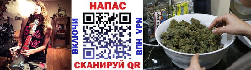 Шишки марихуана семена площадка формула Звенигово мега ТОР
